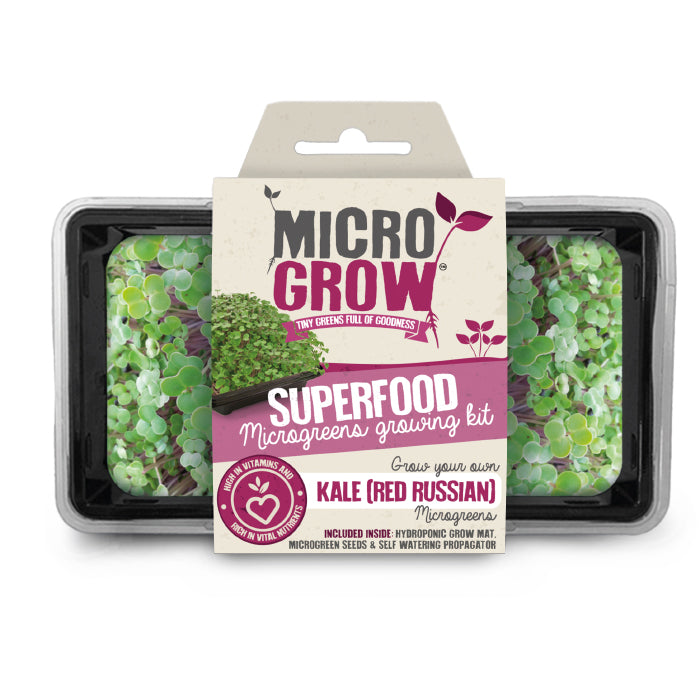 Micro-Grow Kit - Kale (Red Russian)