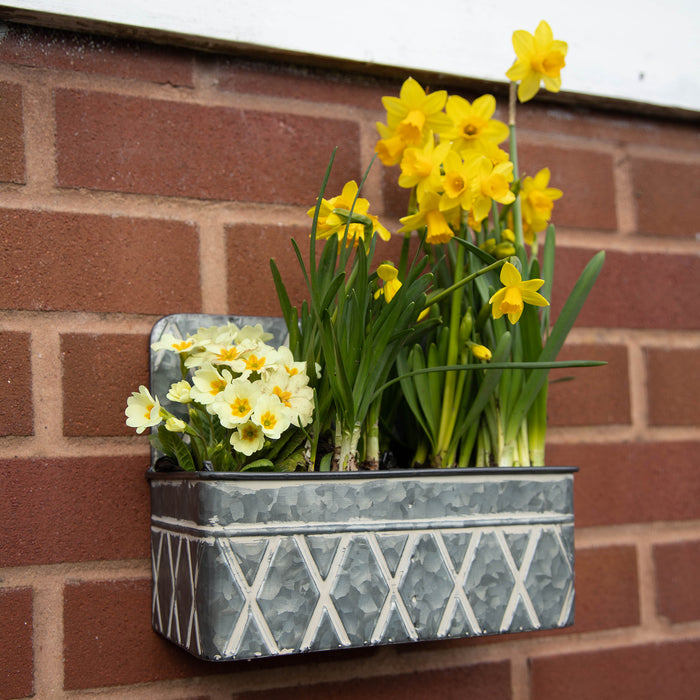 Galvanised Hanging Tray Planters
