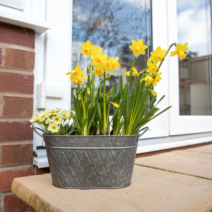 Galvanised Oval Planters