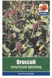 Broccoli Early Purple Sprouting