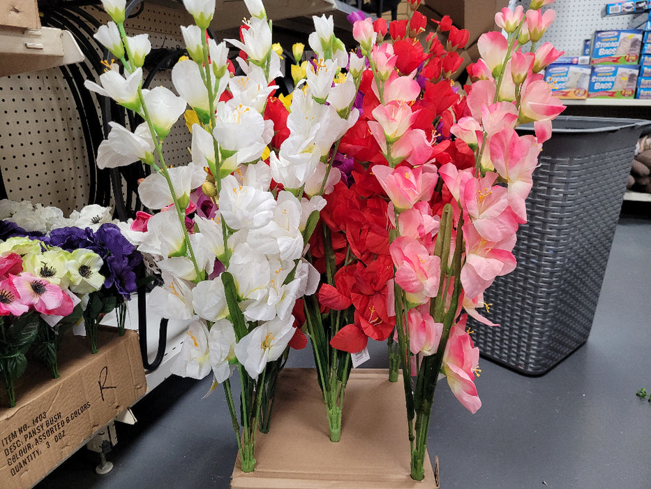 Gladiolus Bush