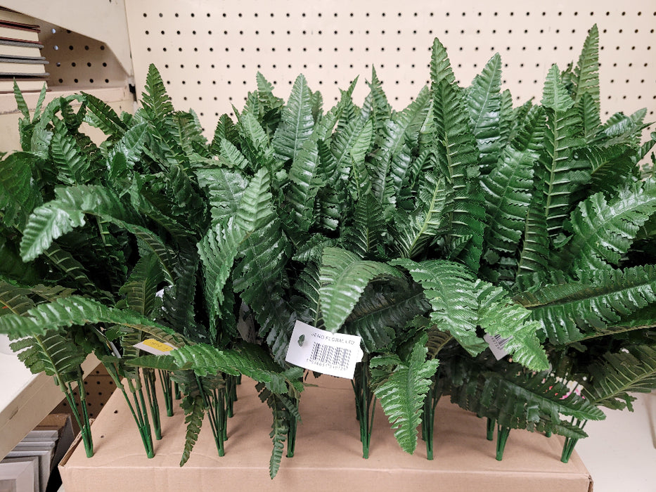 Fern Bush - 5 for £10