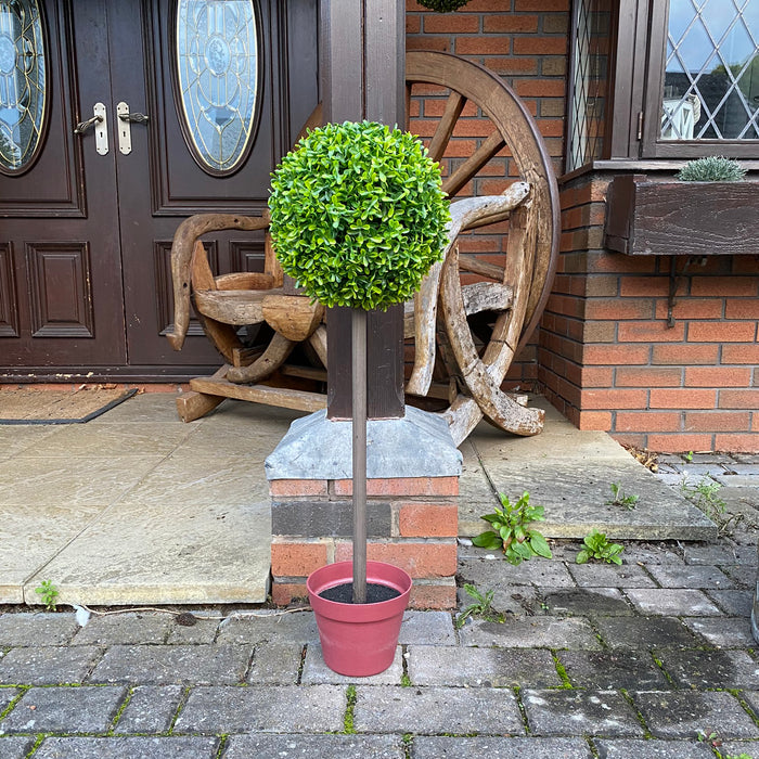 2x Topiary Ball Trees