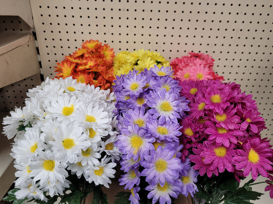 Daisy Bush x14 (42 flowers)