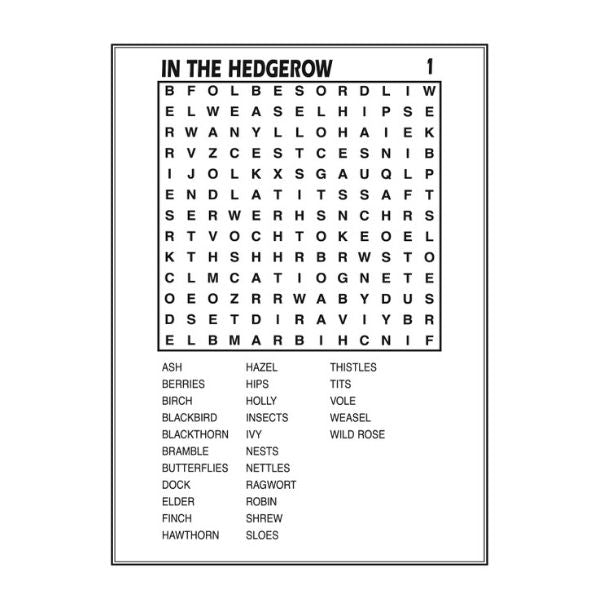 Word Search