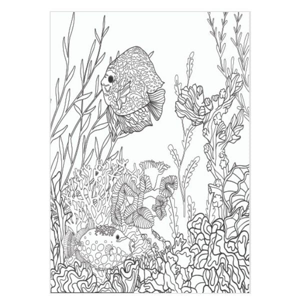 Colouring Book