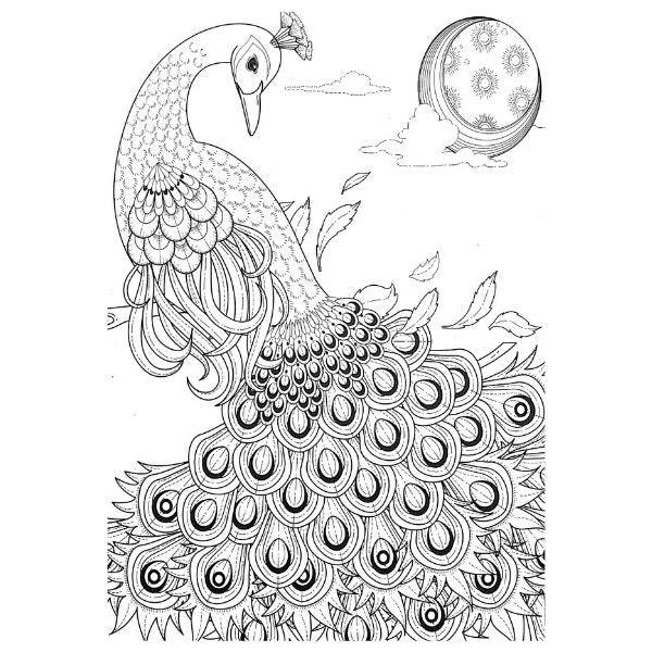 Colouring Book