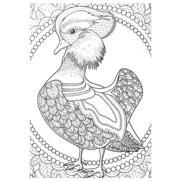 Colouring Book