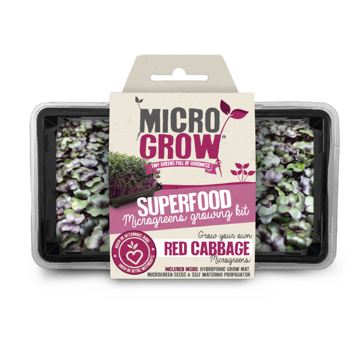 Micro-Grow Kit - Red Cabbage