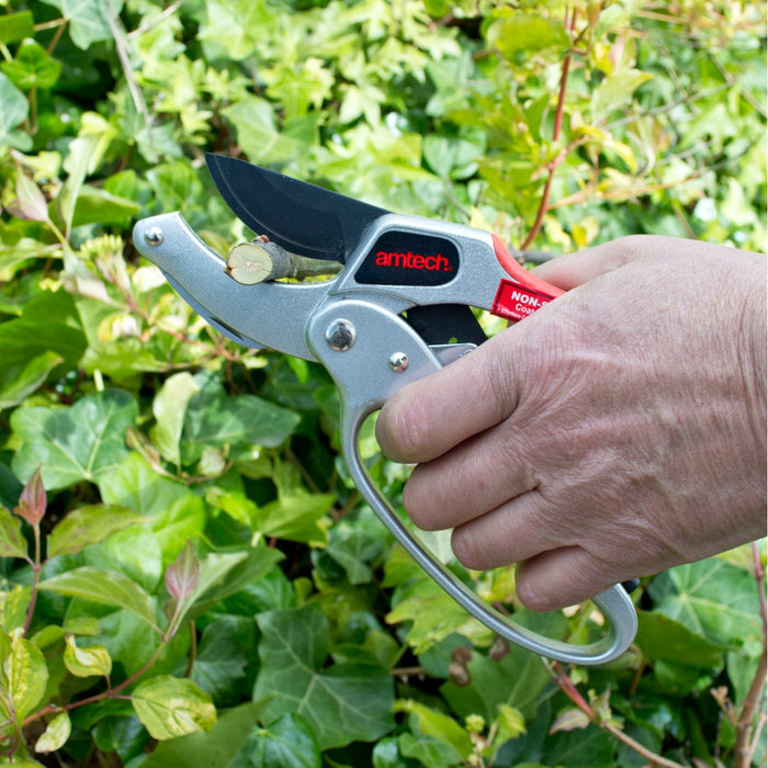 Pruner