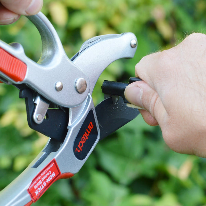Pruner