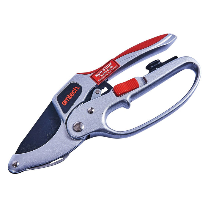 Pruner