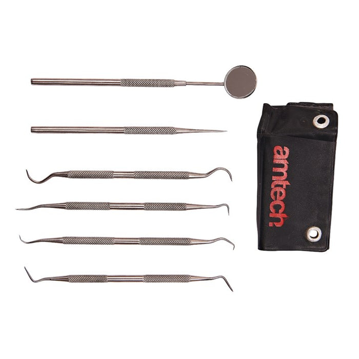 Dental Pick Set 6pc