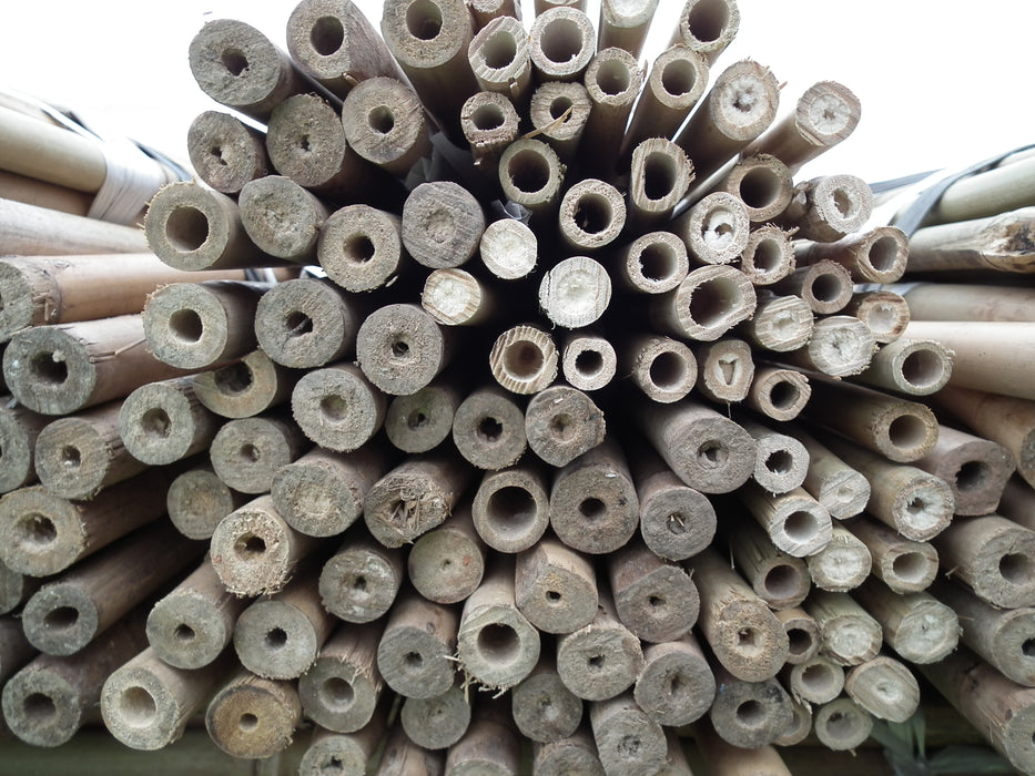10PK 4FT Bamboo Canes