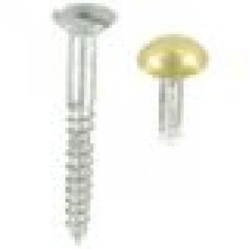Mirror Screws