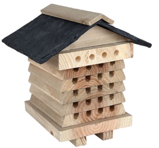 Bee Hive