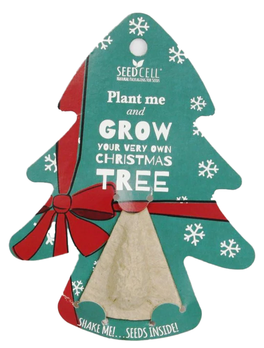 Grow Your Own Christmas Tree Seed