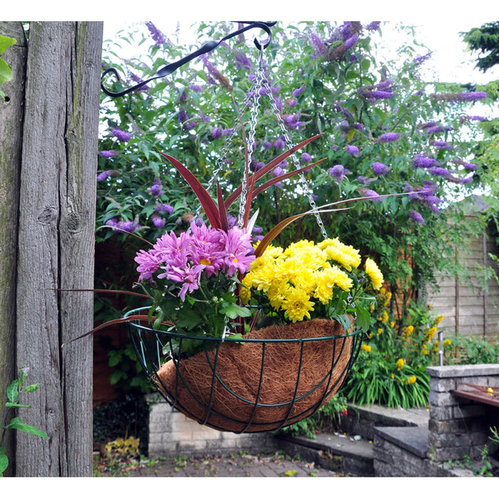 Hanging Basket