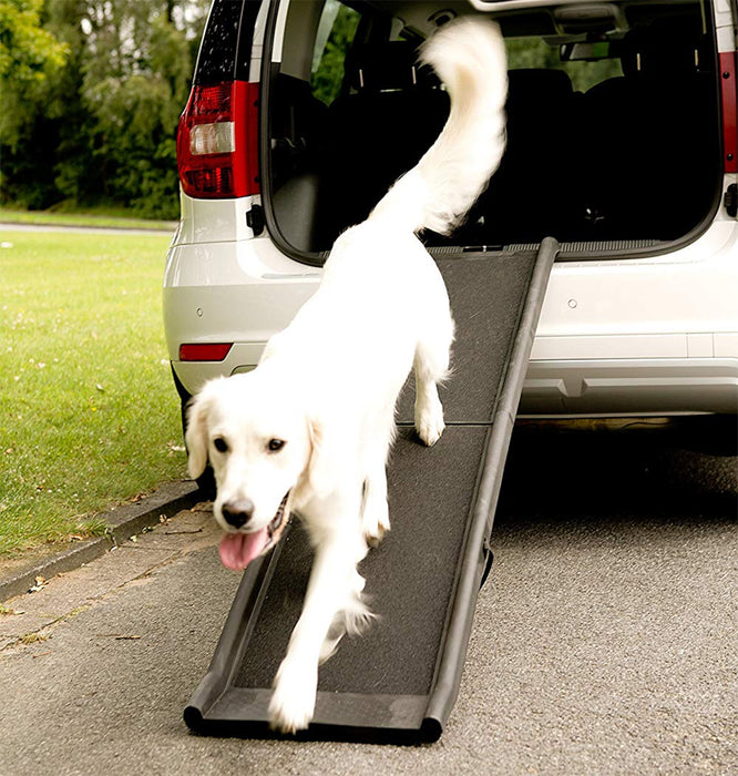 Folding Dog Ramp