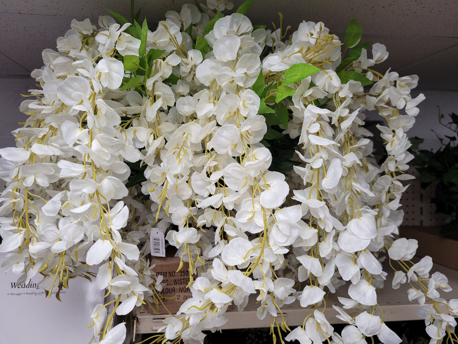 Wisteria Spray Ivory