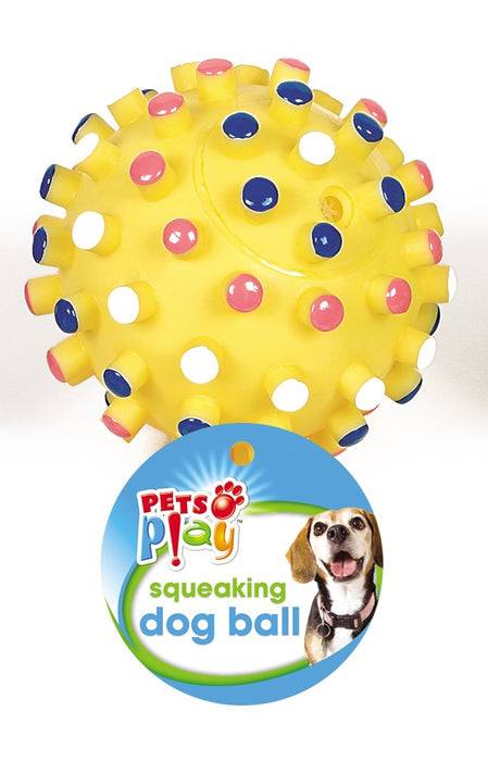 Squeaky Dog Ball