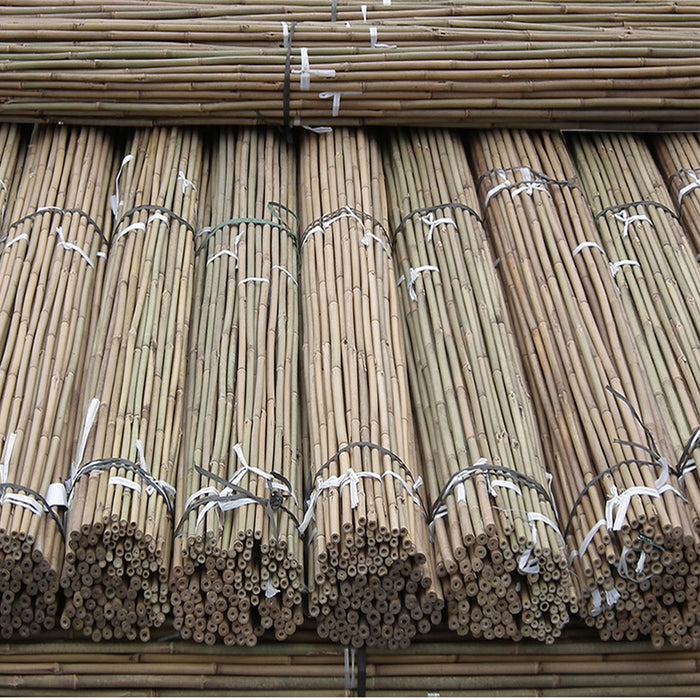 10PK 6FT Bamboo Canes