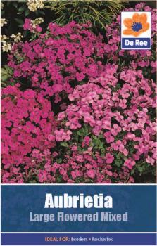 Aubretia