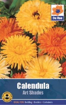 Calendula Art Shades