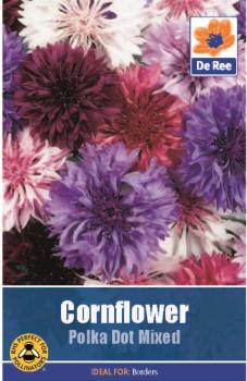 Cornflower Polka Dot