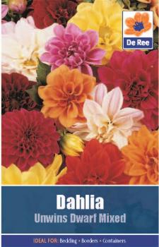 Dahlia Unwins