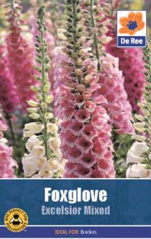 Foxglove Excelsior Mixed