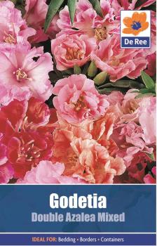 Godetia Double Azalea Mixed