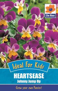 Kids Heartsease Johnny Jump Up