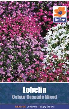 Lobelia Colour Cascade