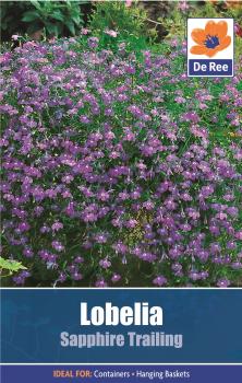 Lobelia Sapphire