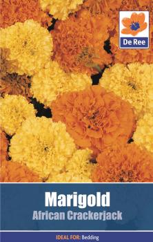 Marigold African Cracker Jack