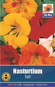 Nasturtium Tall