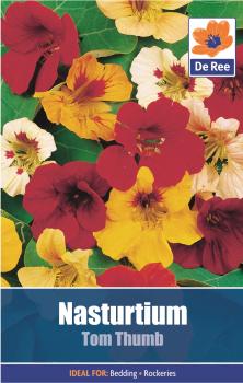 Nasturtium Tom Thumb