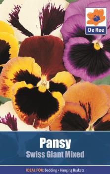 Pansy Swiss Giant