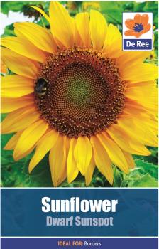 Sunflower Dwarf Sunspot