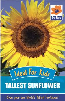 Kids Tallest Sunflower