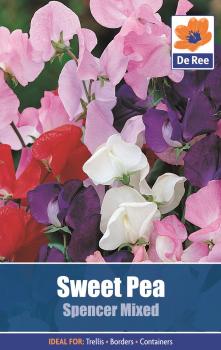 Sweet Pea Spencer Mixed