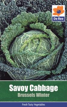 Cabbage Savoy Ormskirk