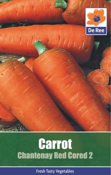 Carrot Chantenay Red Cored 2