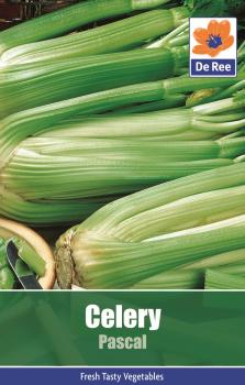 Celery Pascal