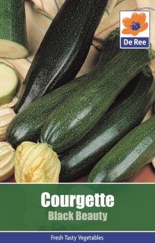Courgette Black Beauty