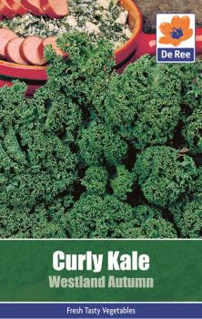 Curly Kale Westland Autumn