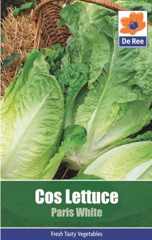 Lettuce Cos Paris White