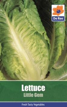 Lettuce Little Gem