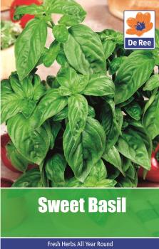 Basil